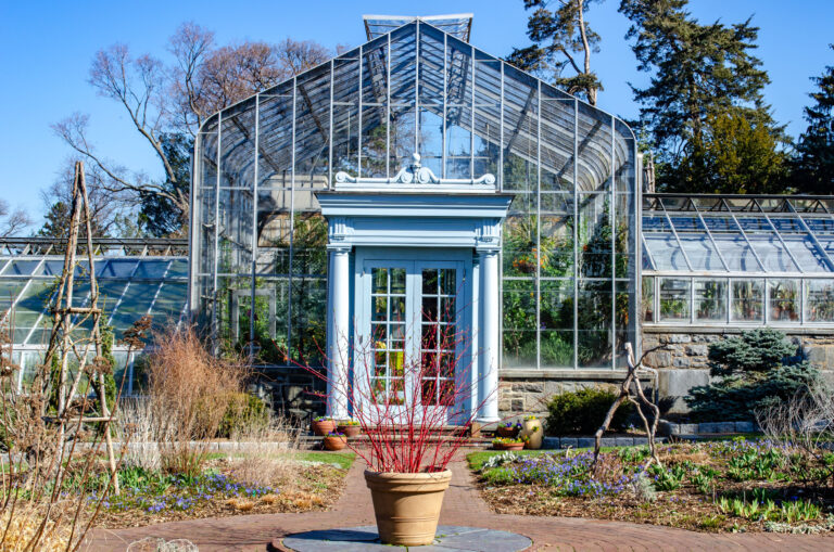 Wave hill Conservatory Family Exploration Day credit Wave Hill