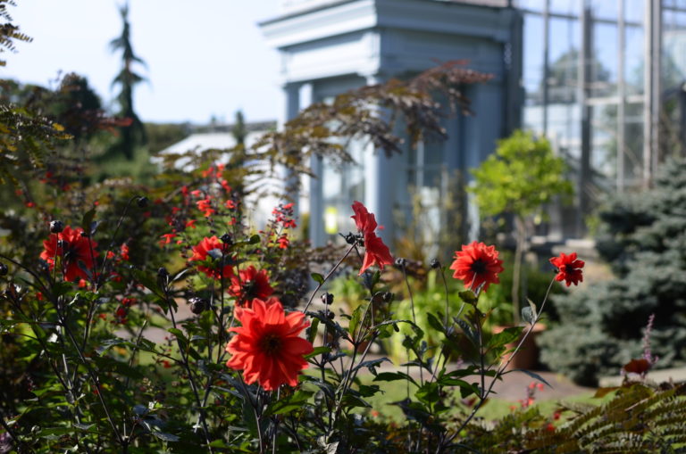 Fall conservatory