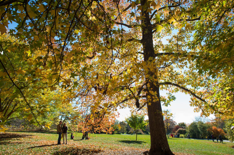 Wave hill Fall Foliage Frolic credit Joshua Bright