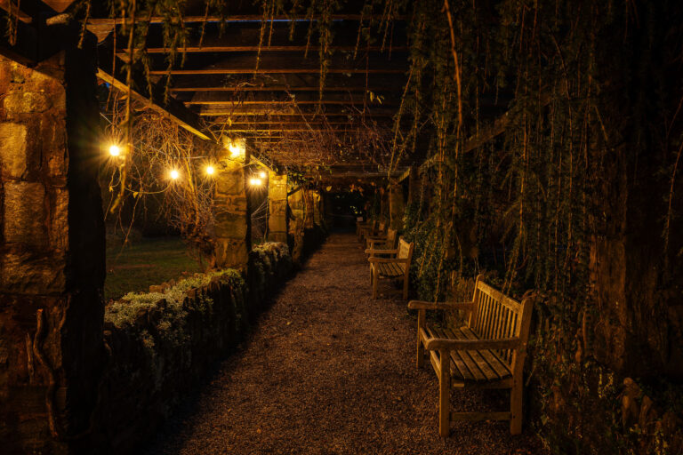 Wave hill Winter Discovery Night credit Karsten Moran